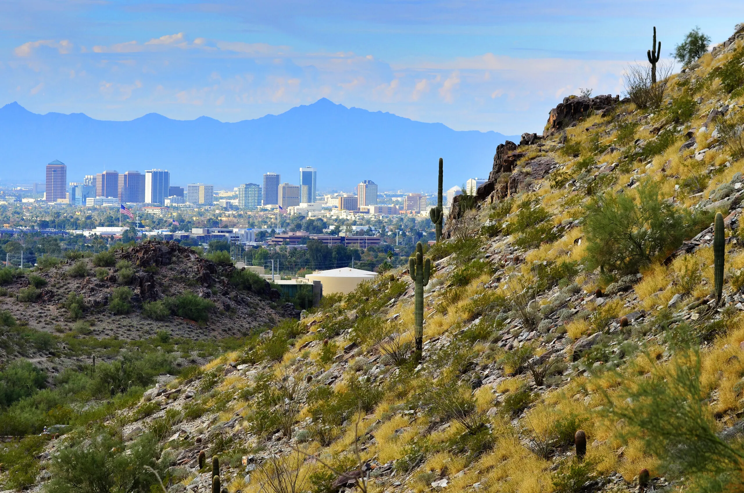 One Year in Arizona: Building a Phoenix Team to Serve Critical Industry Across The Valley, Mountain West and Beyond